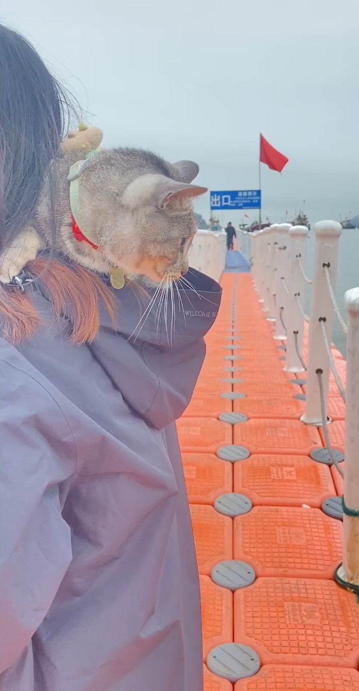 26.4.13 小甜筒 不要害怕