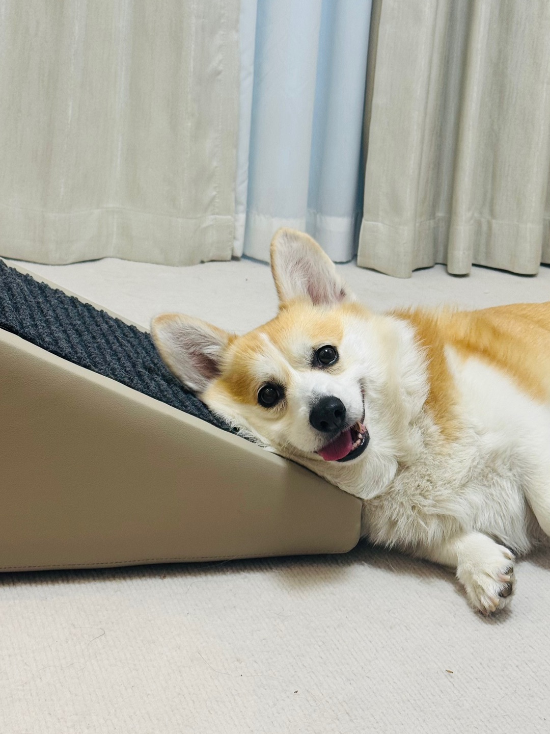 是谁这么可爱！