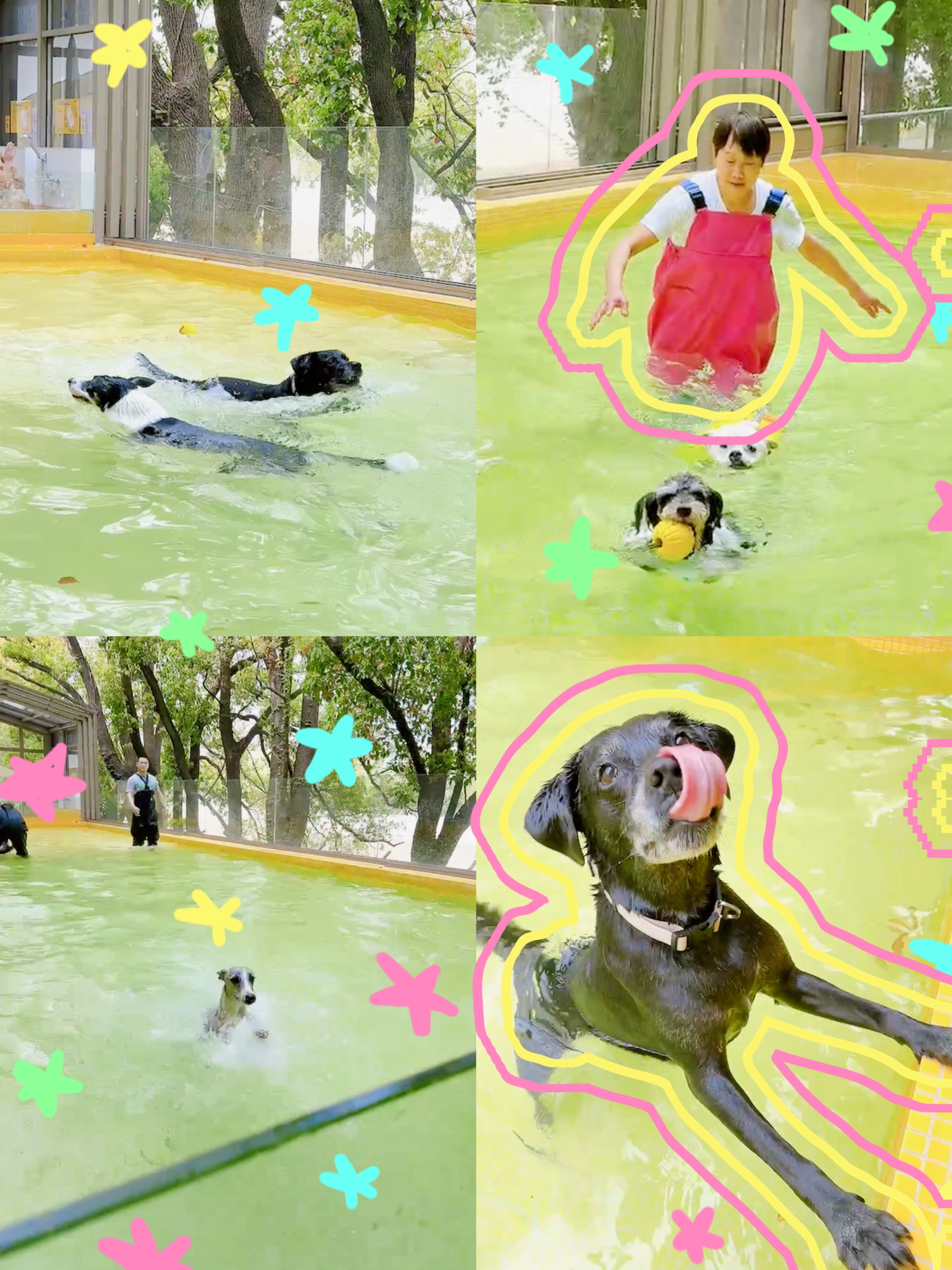 欢迎收看小狗的玩水Vvvlog