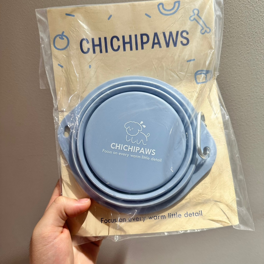 狗狗出行好物分享