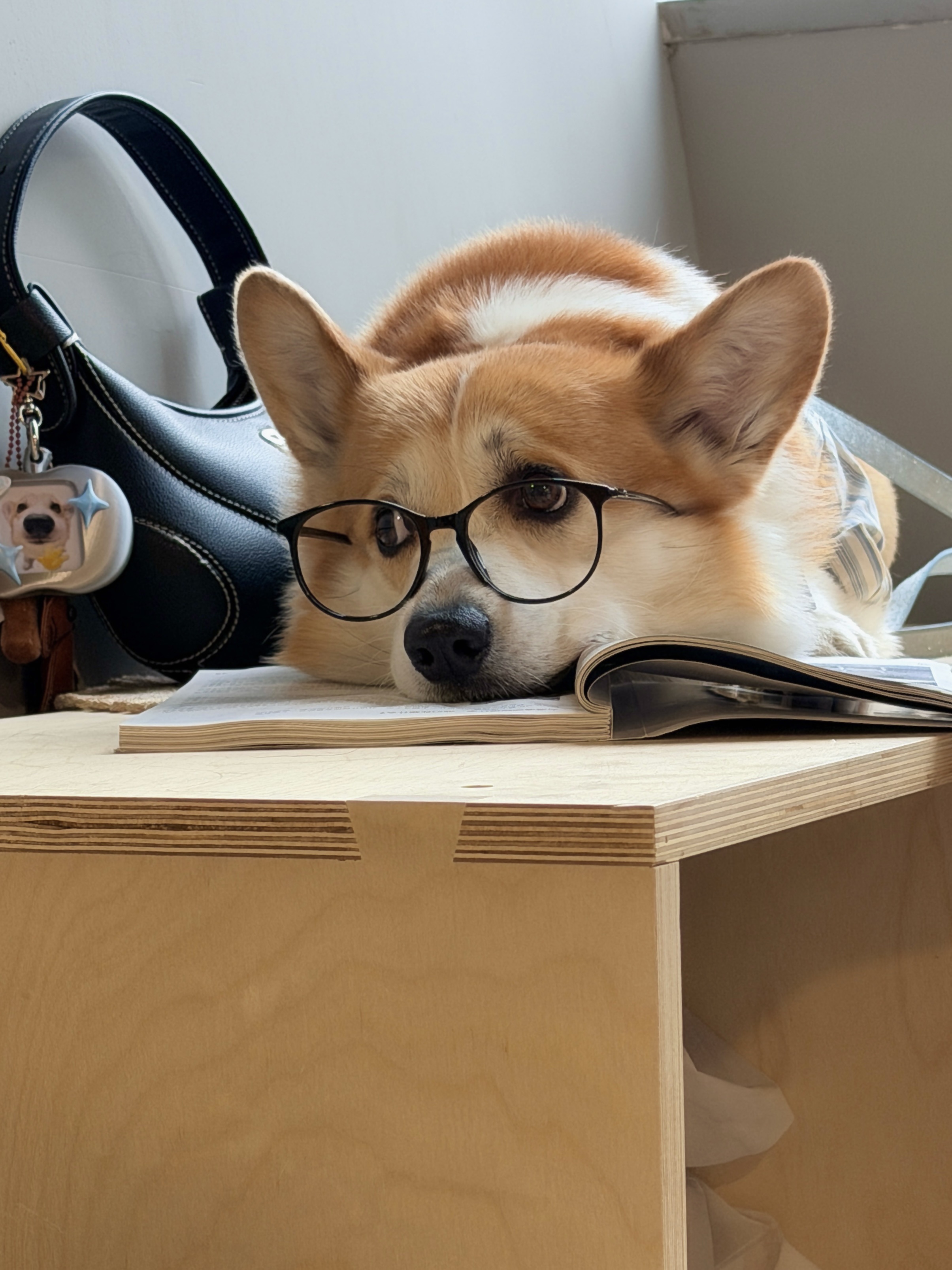 小小年纪还两幅面孔！