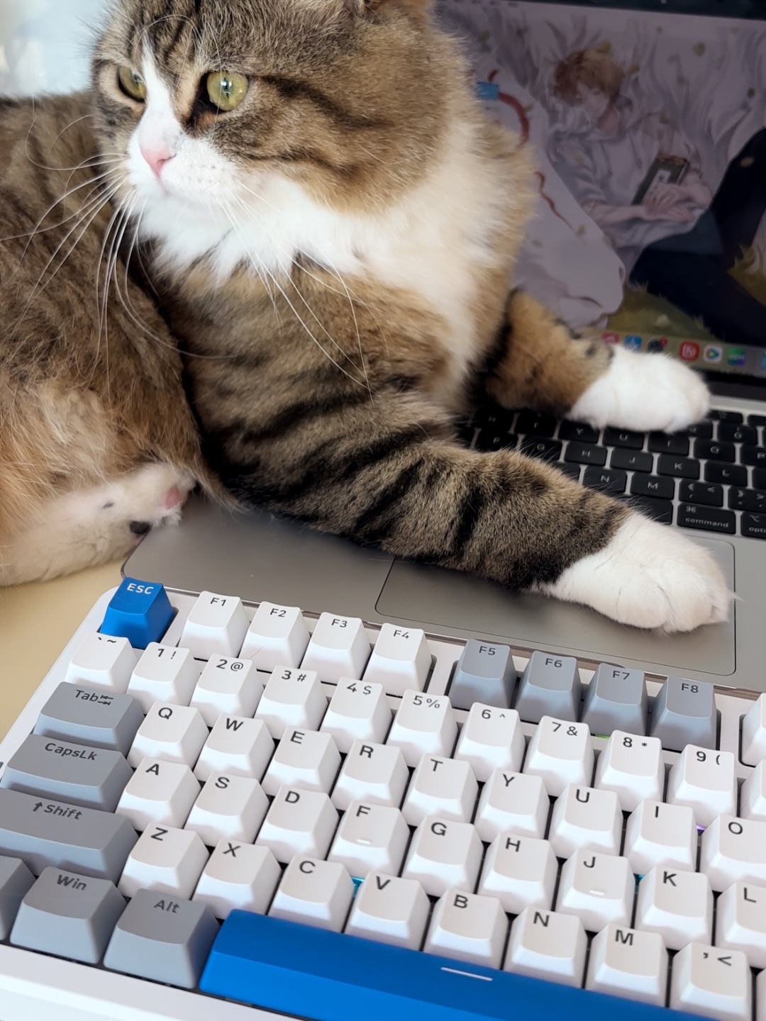 哈哈(〃'▽'〃)哈哈˙ᗜ˙哈哈(〃'▽'〃)(*´▽｀)ノノ