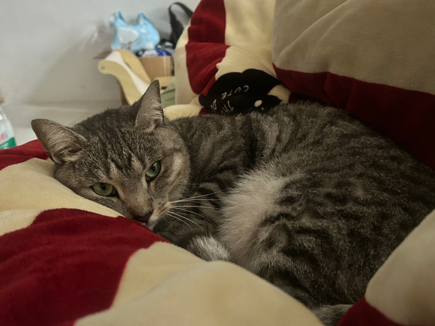 4.14 妈，我想你