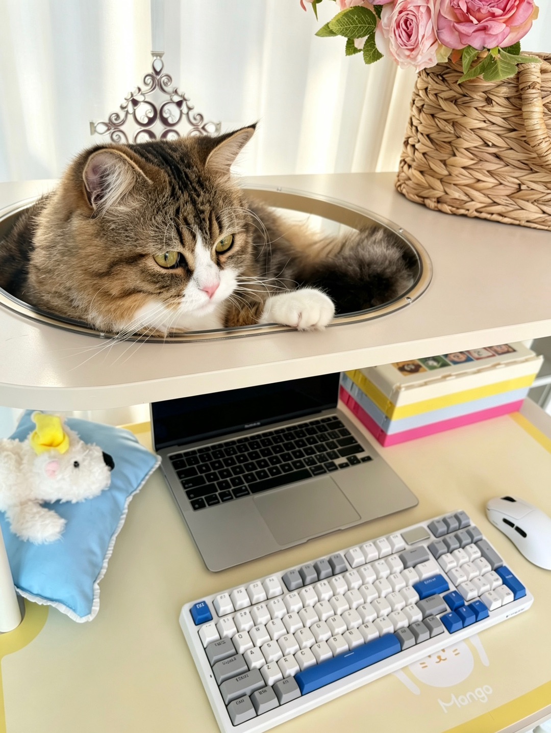 哈哈(〃'▽'〃)哈哈˙ᗜ˙哈哈(〃'▽'〃)(*´▽｀)ノノ