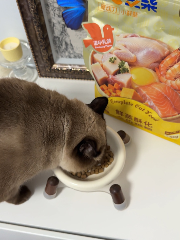 又是“埋头苦干”的一餐～～ 实力干饭❕❕