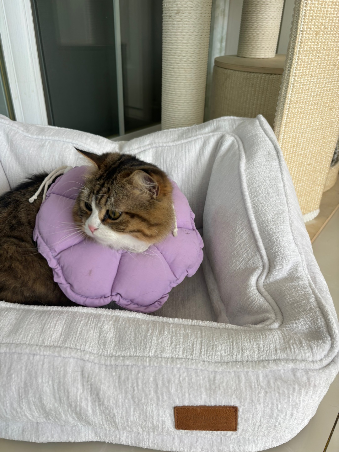 哈哈  ᖰ⌯'▾'⌯ᖳ(^_^)ノ*\(๑• ₃ •๑)*\(๑• ₃ •๑)