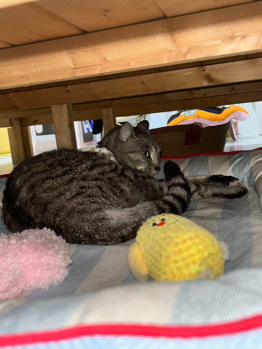 4.15 偷拍我干啥