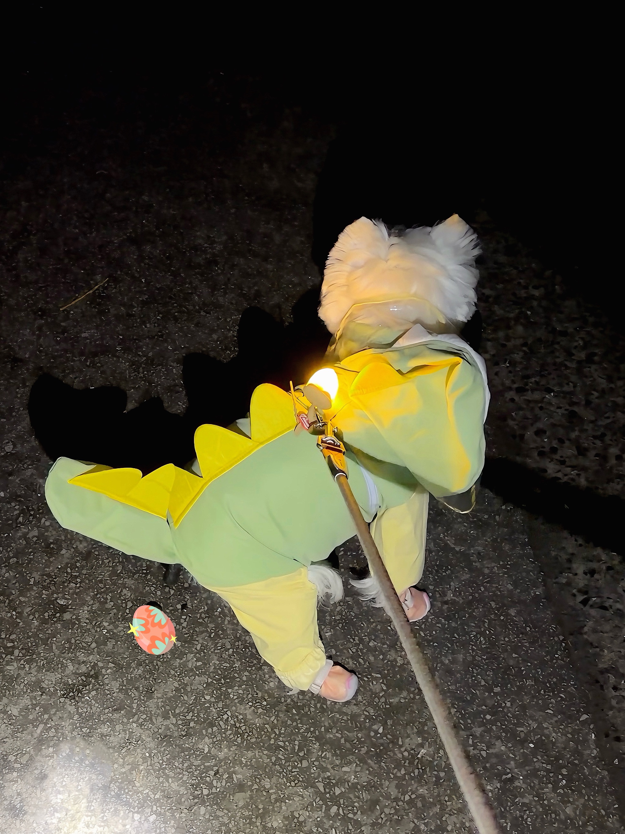 以防你没见过恐龙下蛋🦖