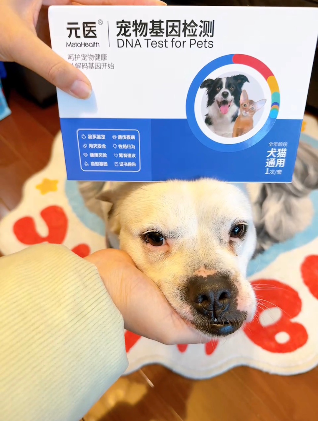 领养来的狗竟然是……