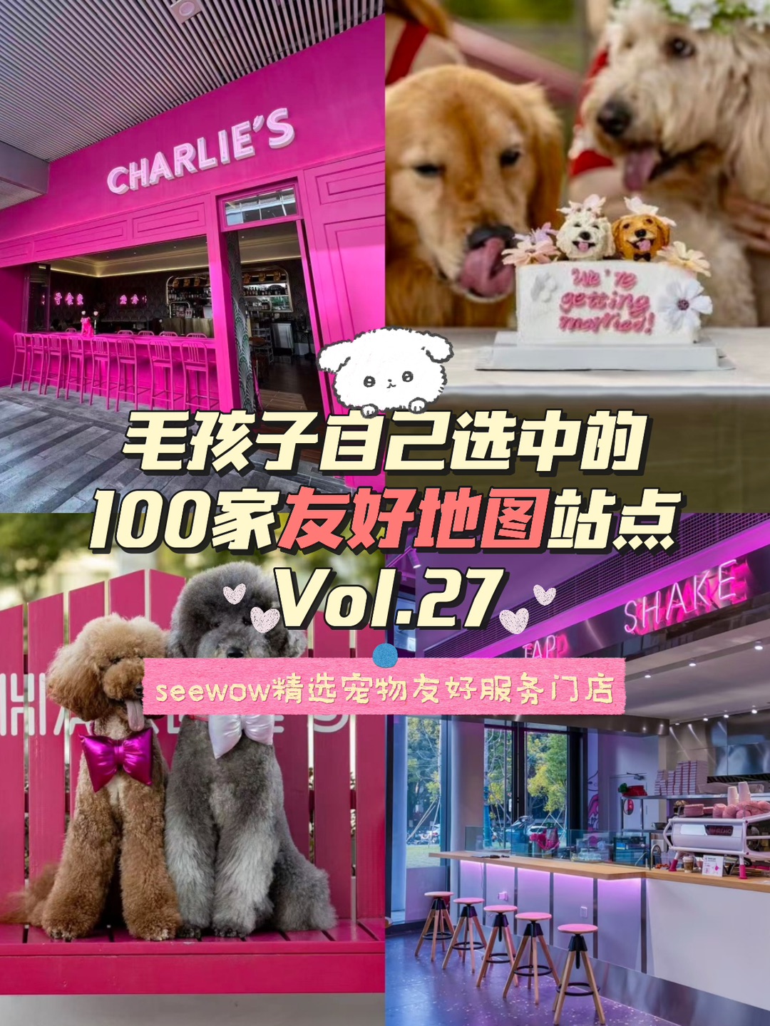 宠物友好第27站｜CHARLIE’S粉红汉堡