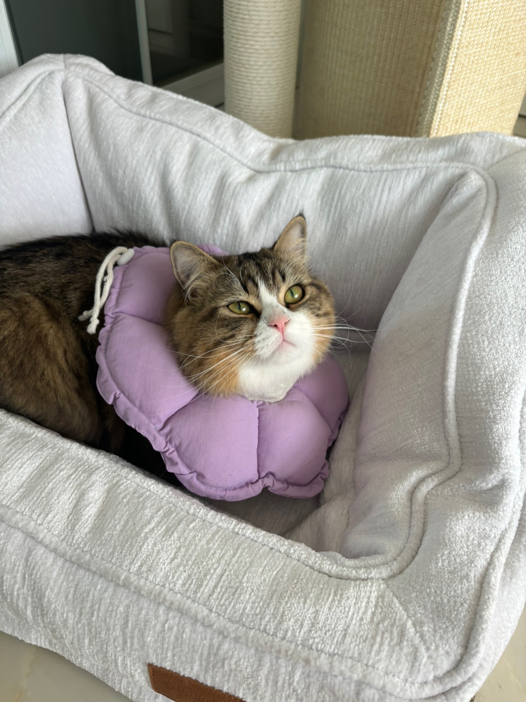 哈哈  ᖰ⌯'▾'⌯ᖳ(^_^)ノ*\(๑• ₃ •๑)*\(๑• ₃ •๑)