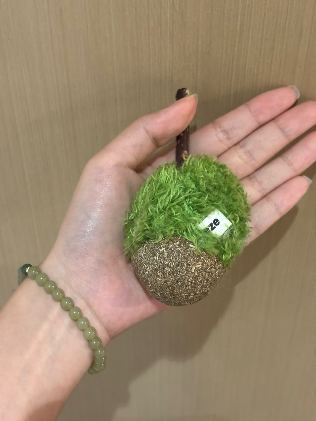 zeze的新玩具开箱测评