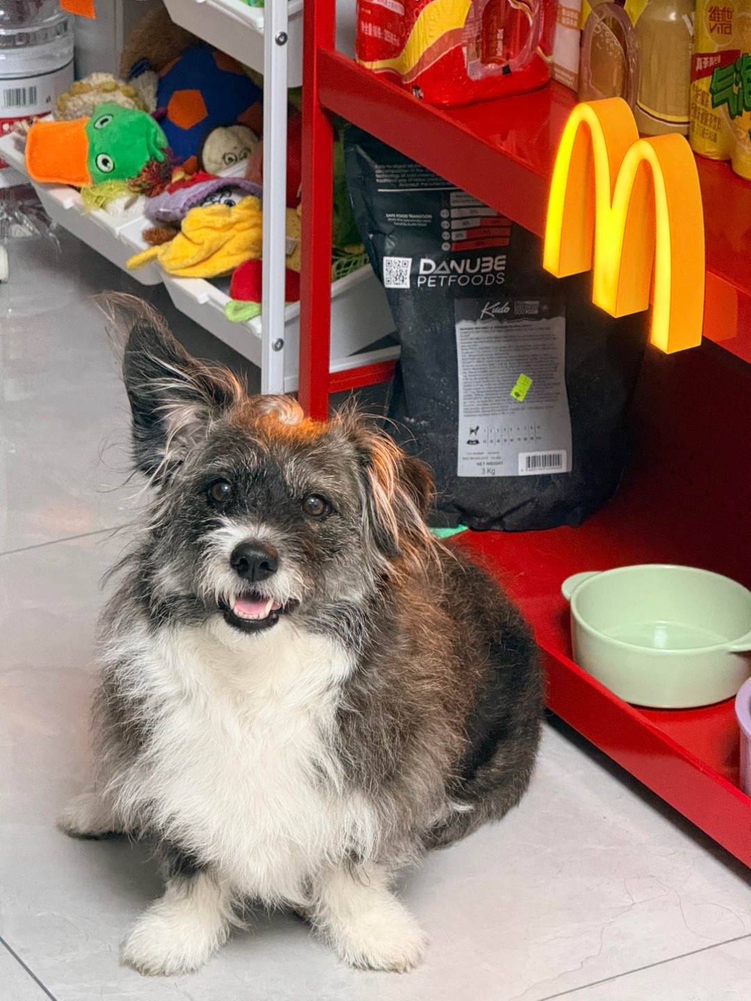 麦当当饭堂营业中