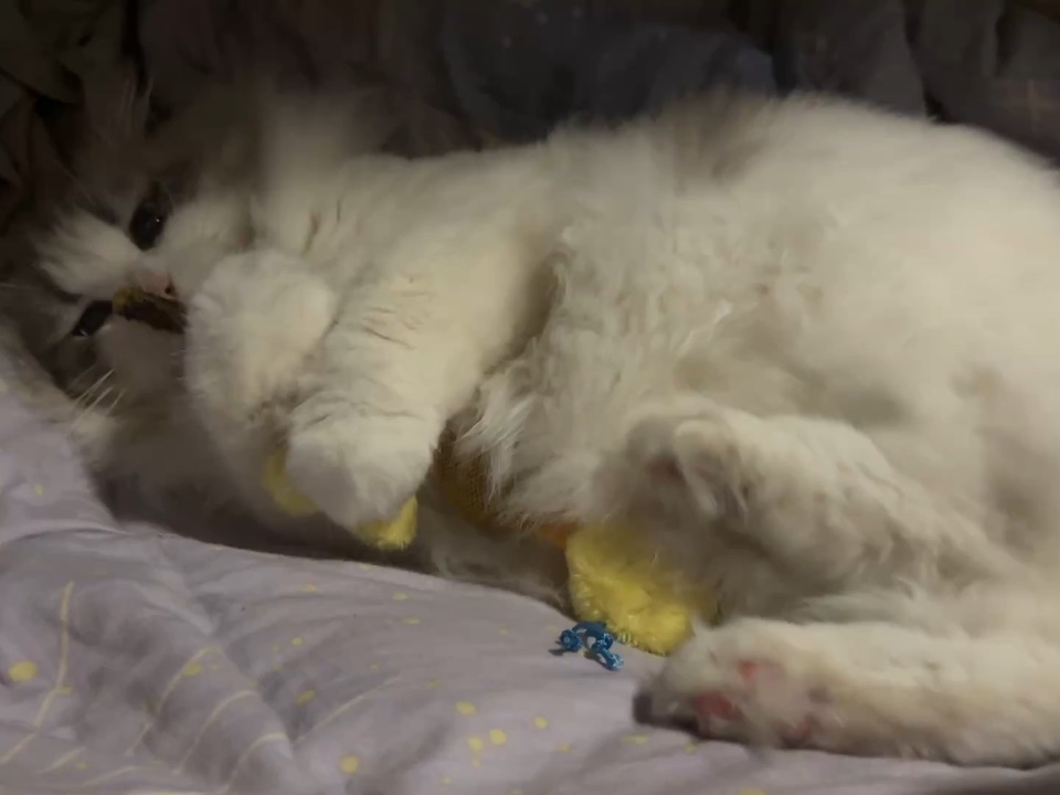 安静的美男子16