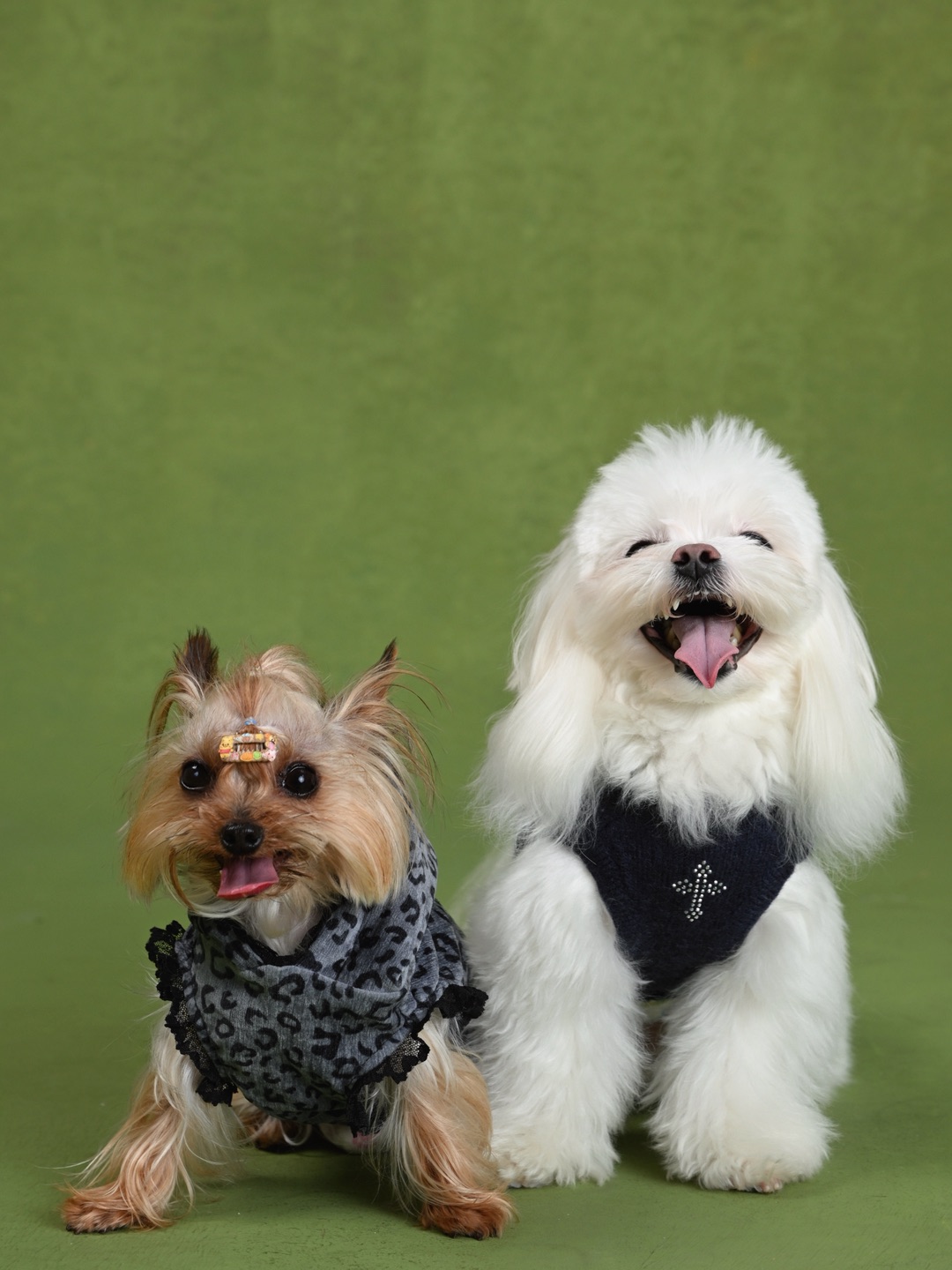 好朋友就是要在一起拍很多的照片