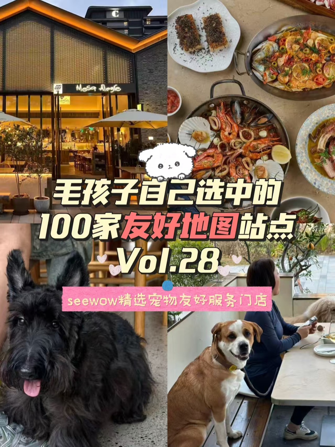 宠物友好第28站｜Mesa Alegre快乐桌子