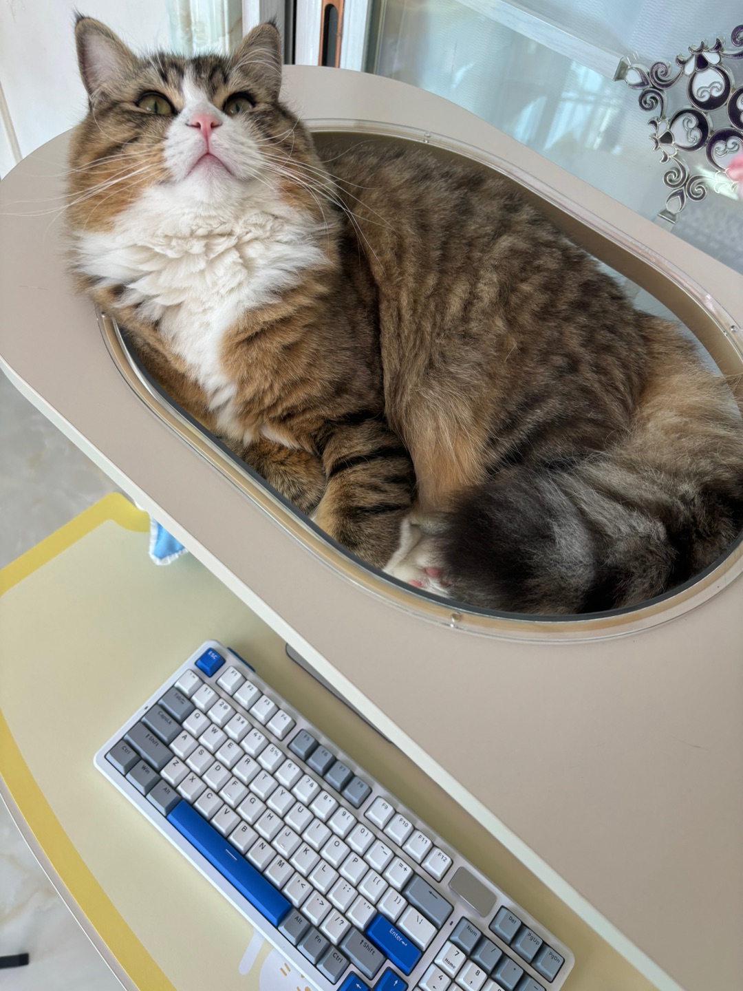 哈哈(〃'▽'〃)hi(^-^)/( ´ ▽ ` )ノ( ´ ▽ ` )ノ