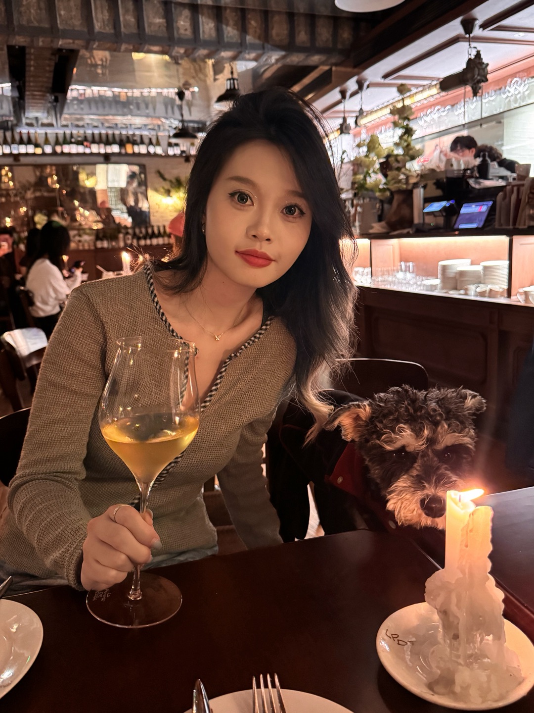 上海宠物友好餐厅推荐