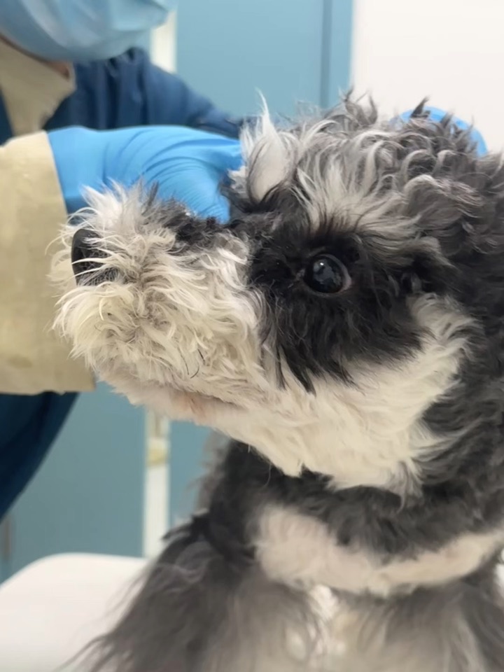 逐渐放大的双眼