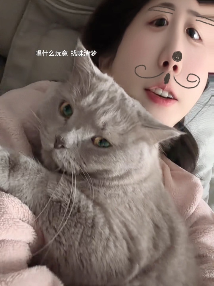 🐱：别念了别念了