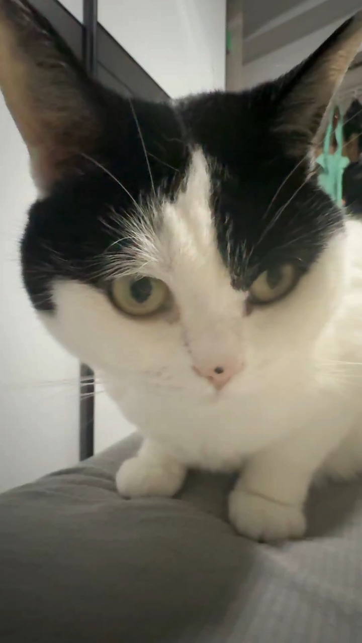 整容只花了三块