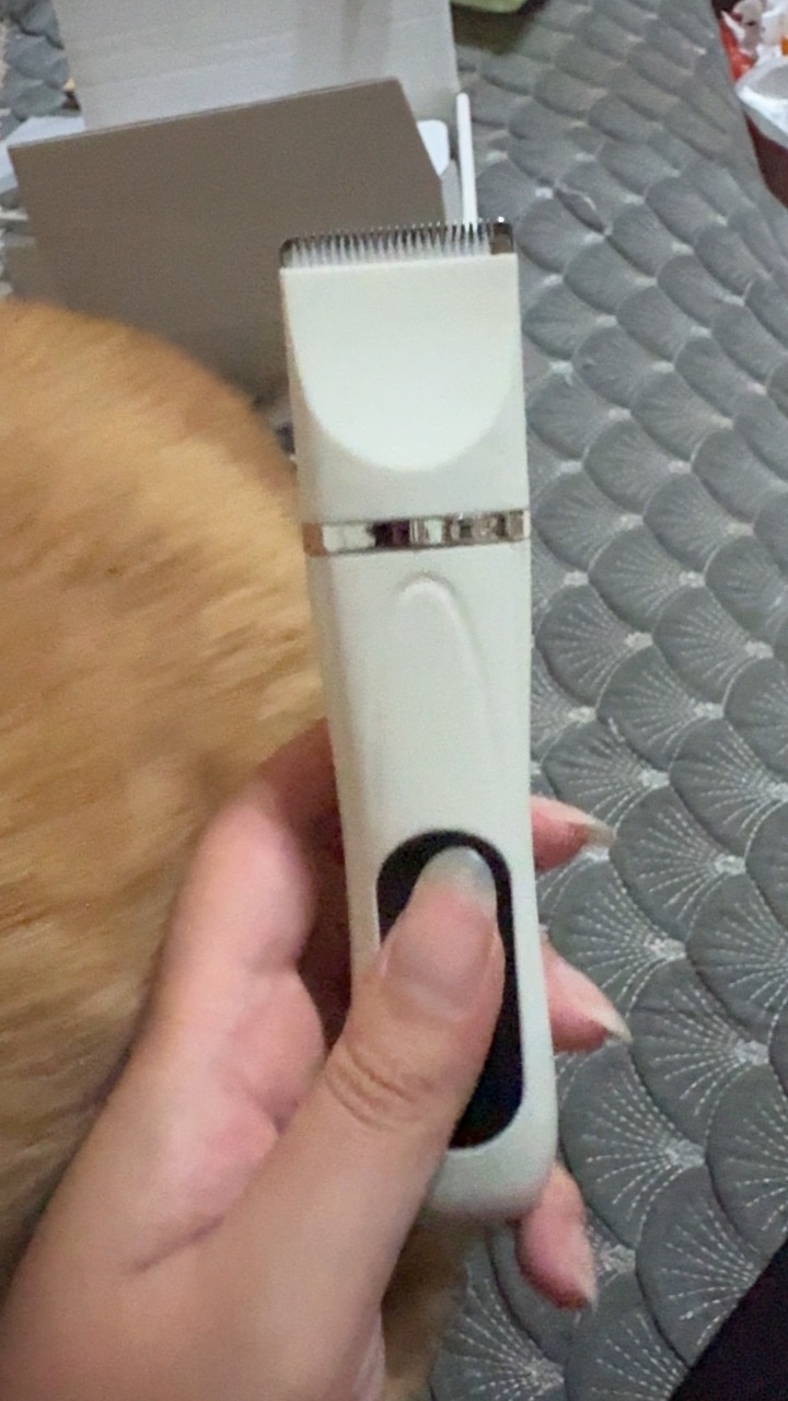 啦啦啦啦，小可爱来了