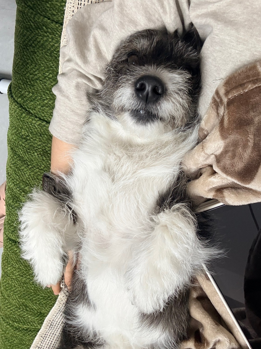 我在妈妈怀里睡就不会有人打扰我啦