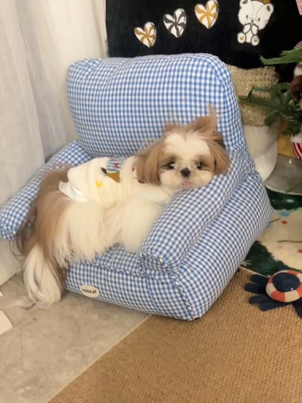 西施都这样吗？