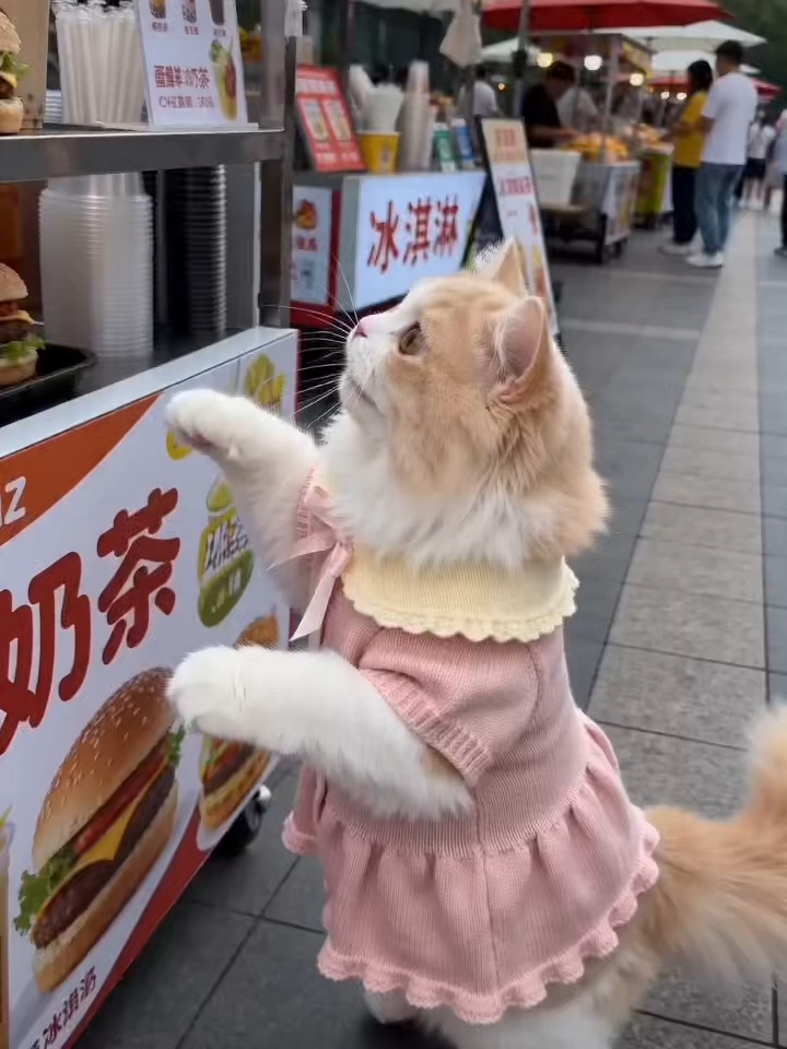 有求必应好妈妈