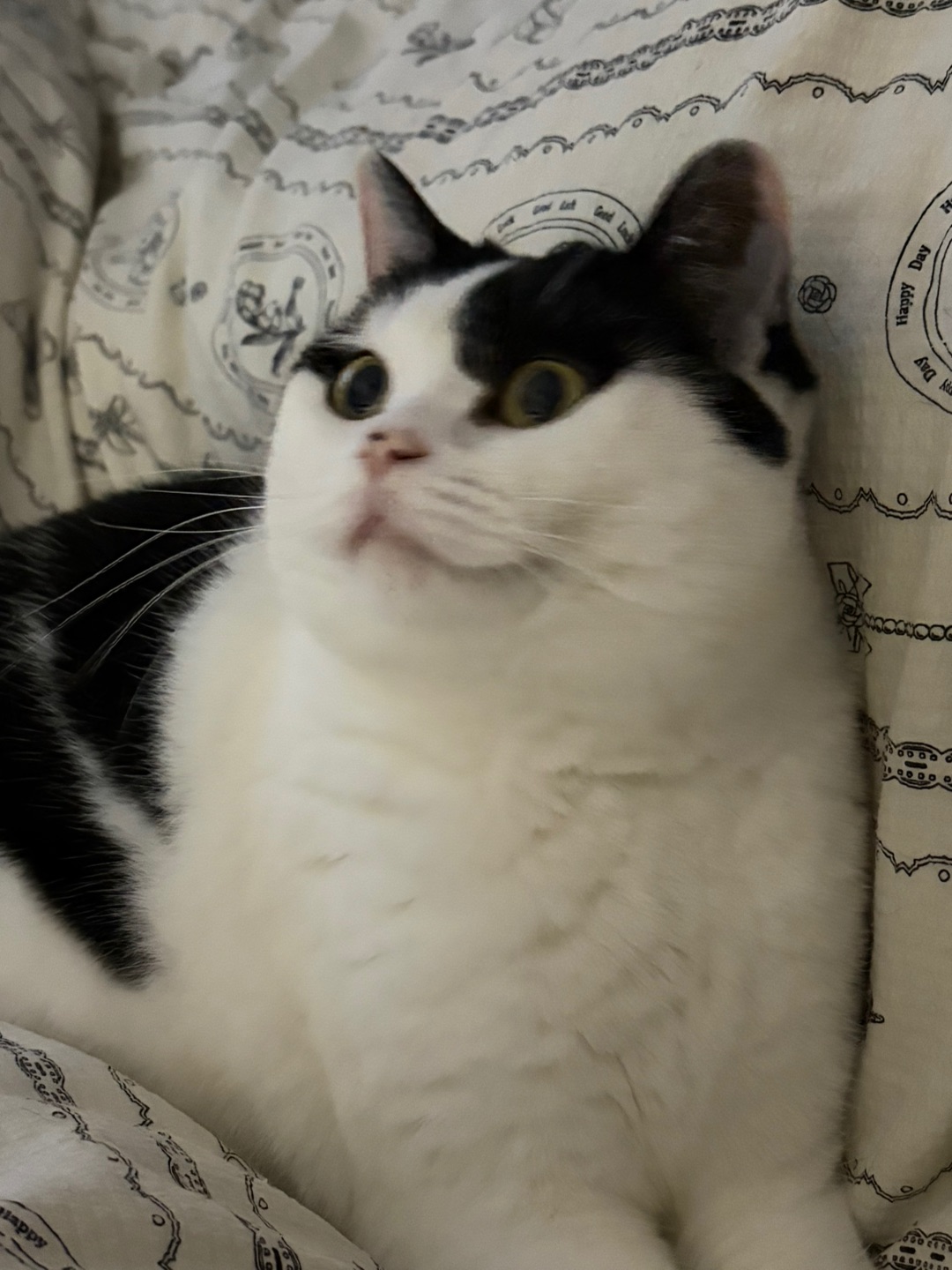 躺爸妈中间最幸福了