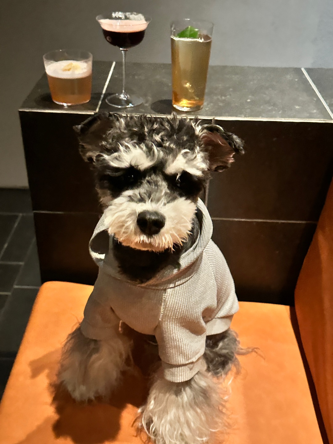 今天我妈又带我来哪喝酒啦