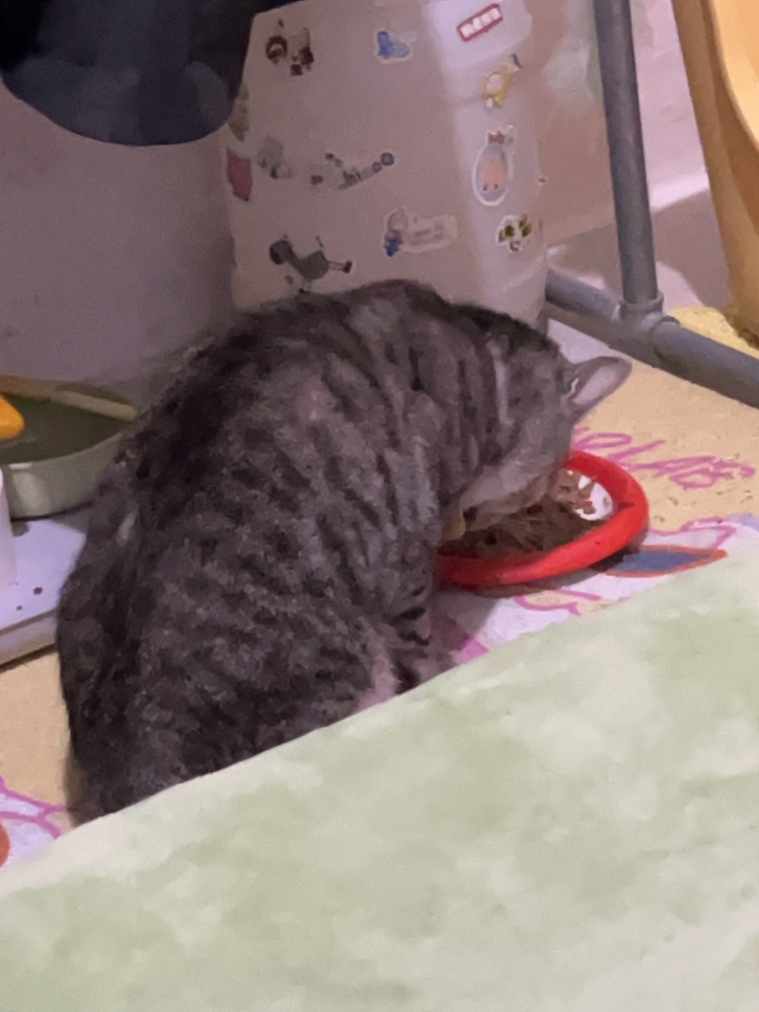 4.18 小猫吃地雷罐