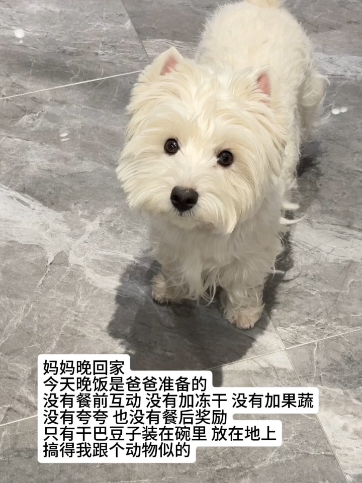 爸爸带的孩子像根草😅