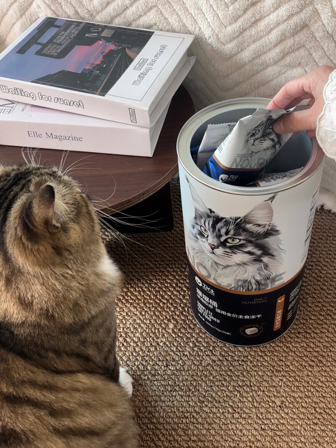 ~(＾◇^)/(*´▽｀)ノノ~(＾◇^)/(^_^)ノヽ(^0^)ノ