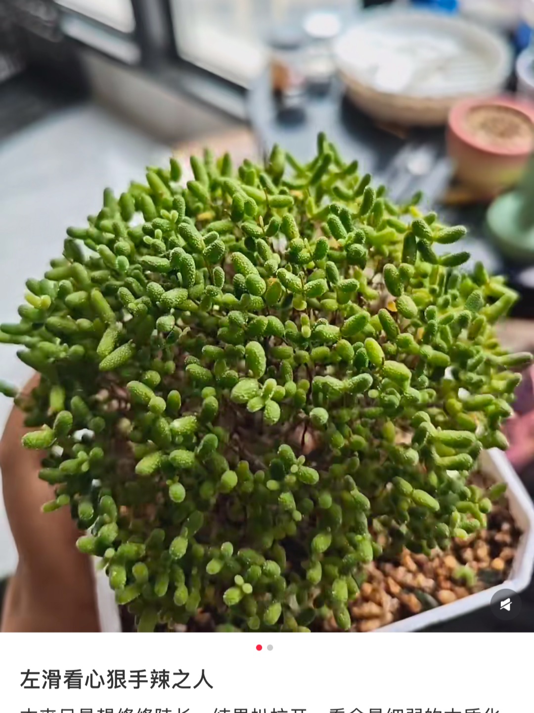 hhhhhh哈哈哈哈哈哈哈哈哈哈哈哈哈哈哈哈哈哈哈哈哈哈哈哈哈哈哈哈哈哈哈哈哈哈哈