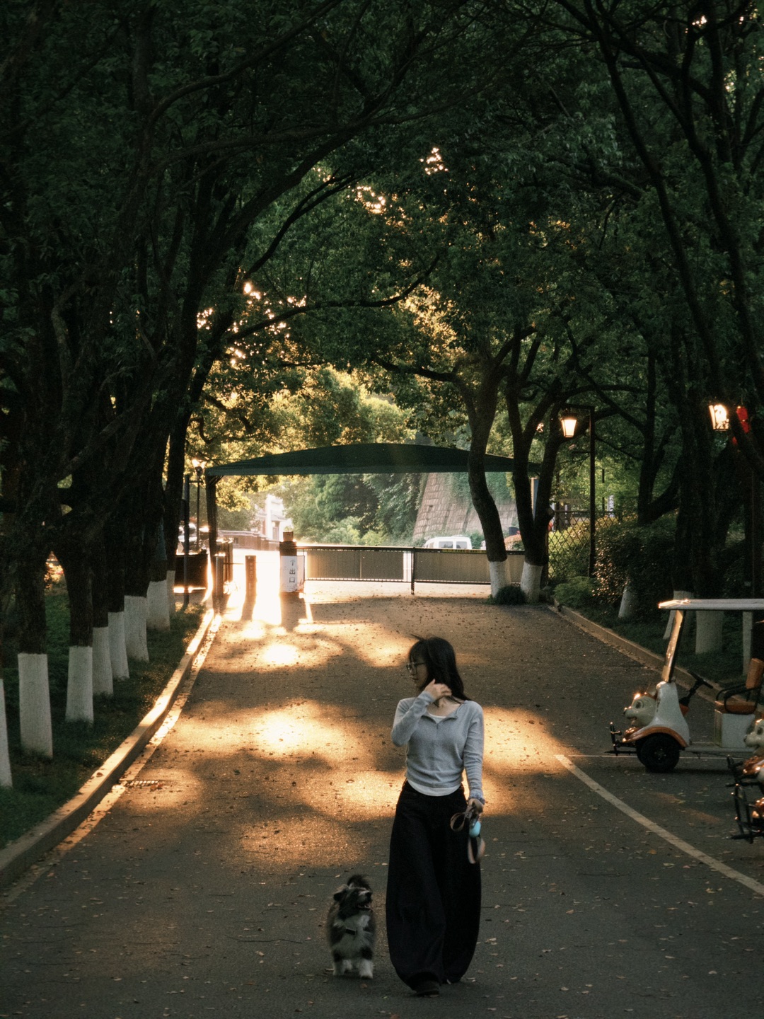 独属于春日的绿