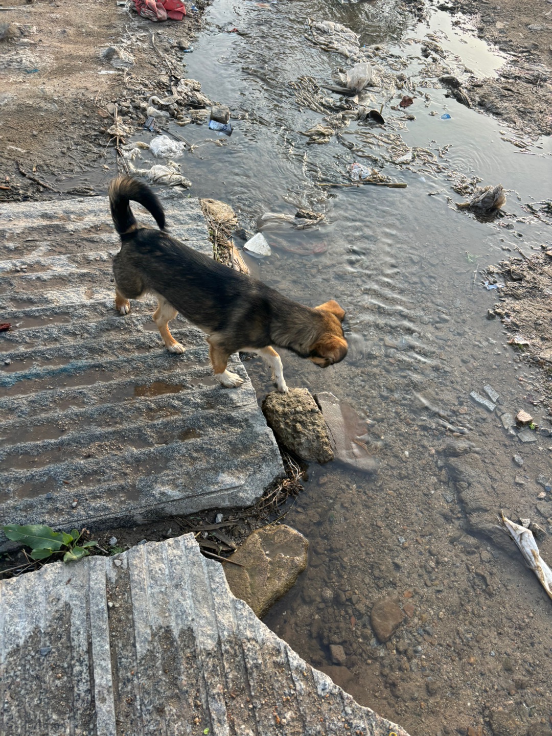 ~(＾◇^)/(*´▽｀)ノノ~(＾◇^)/(^_^)ノヽ(^0^)ノ