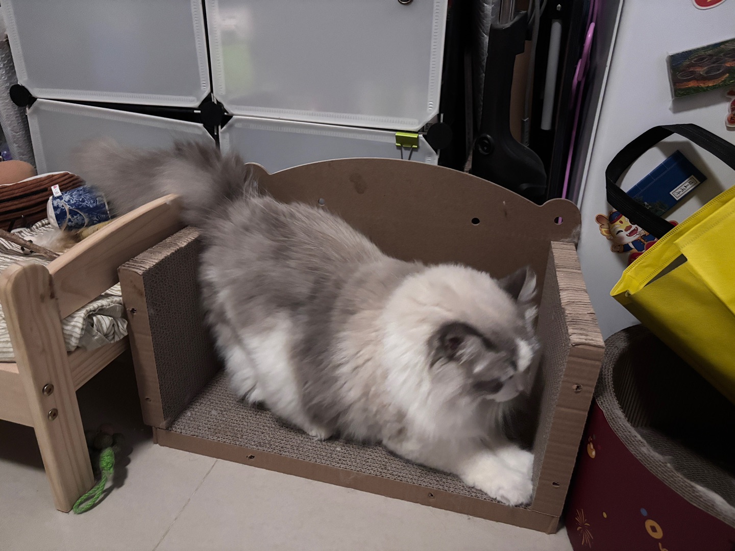 拆掉才进得去19