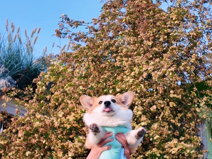 看啥花呀！看我！