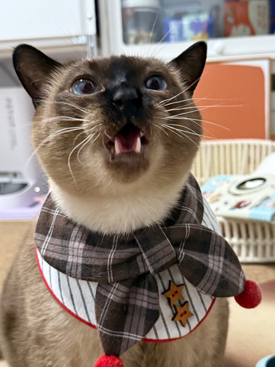 只要我略施小计，人类就会对我着迷