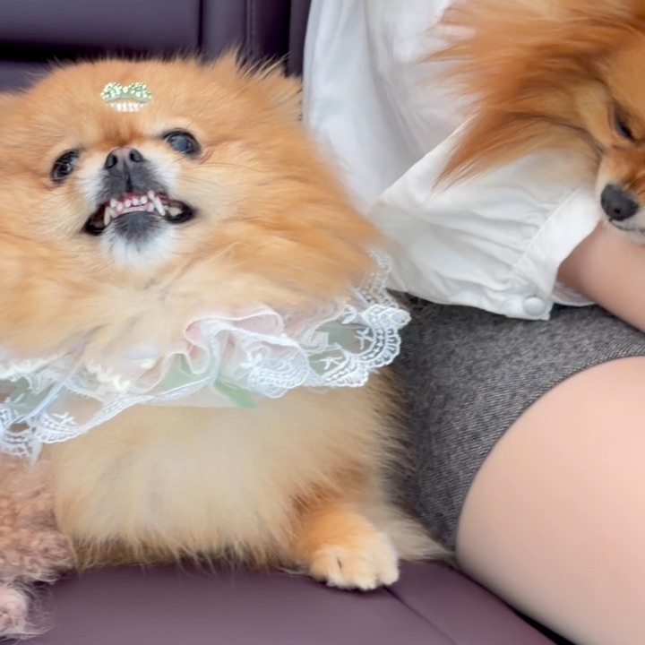 哔哔哔哔哔哔喇不