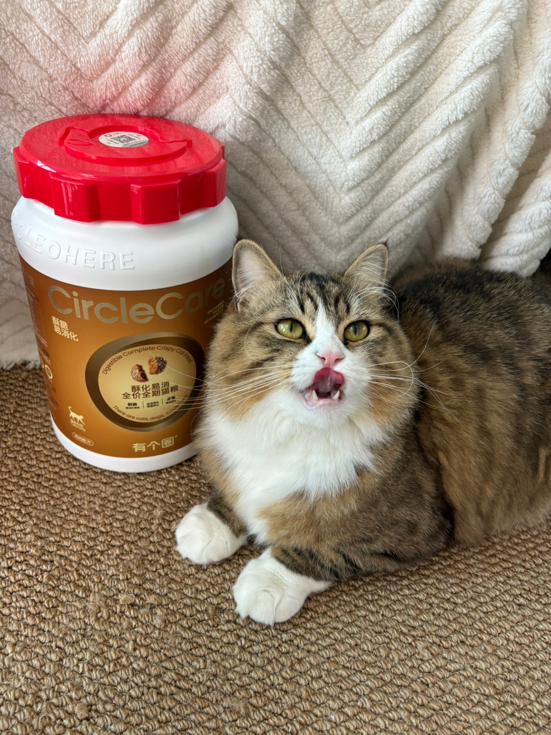 Hi~ o(*￣▽￣*)ブ(^o^)／ヽ(^0^)ノHi~ o(*￣▽￣*)ブ