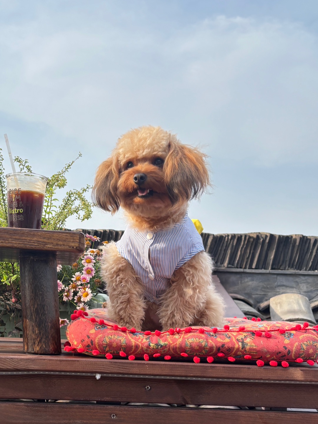 人，给你点了一杯冰美式，来吃屋顶咖啡吗