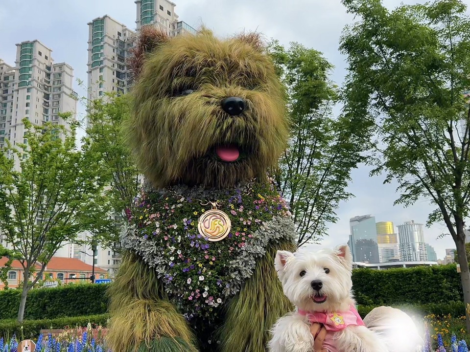 参见狗狗大王！