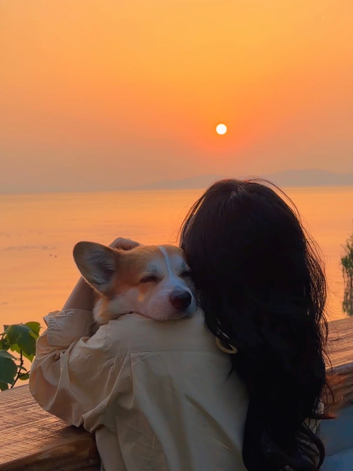 夕阳照着我的小茉莉～🌅