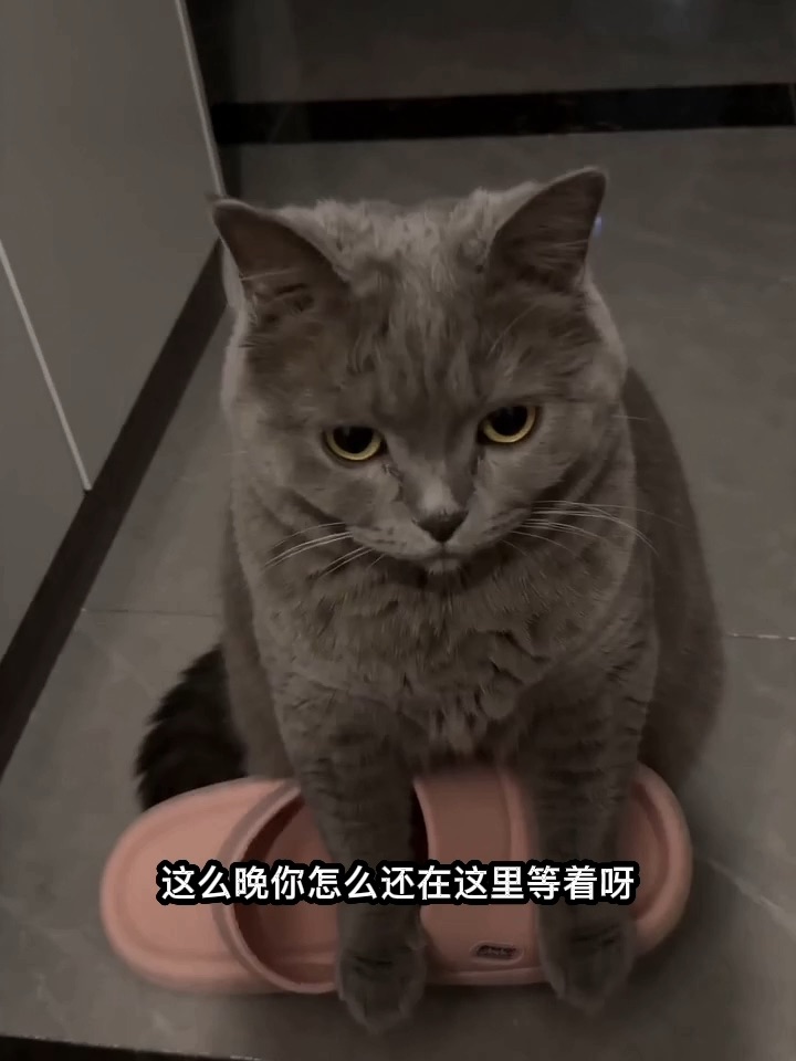 不问多晚都等你回家