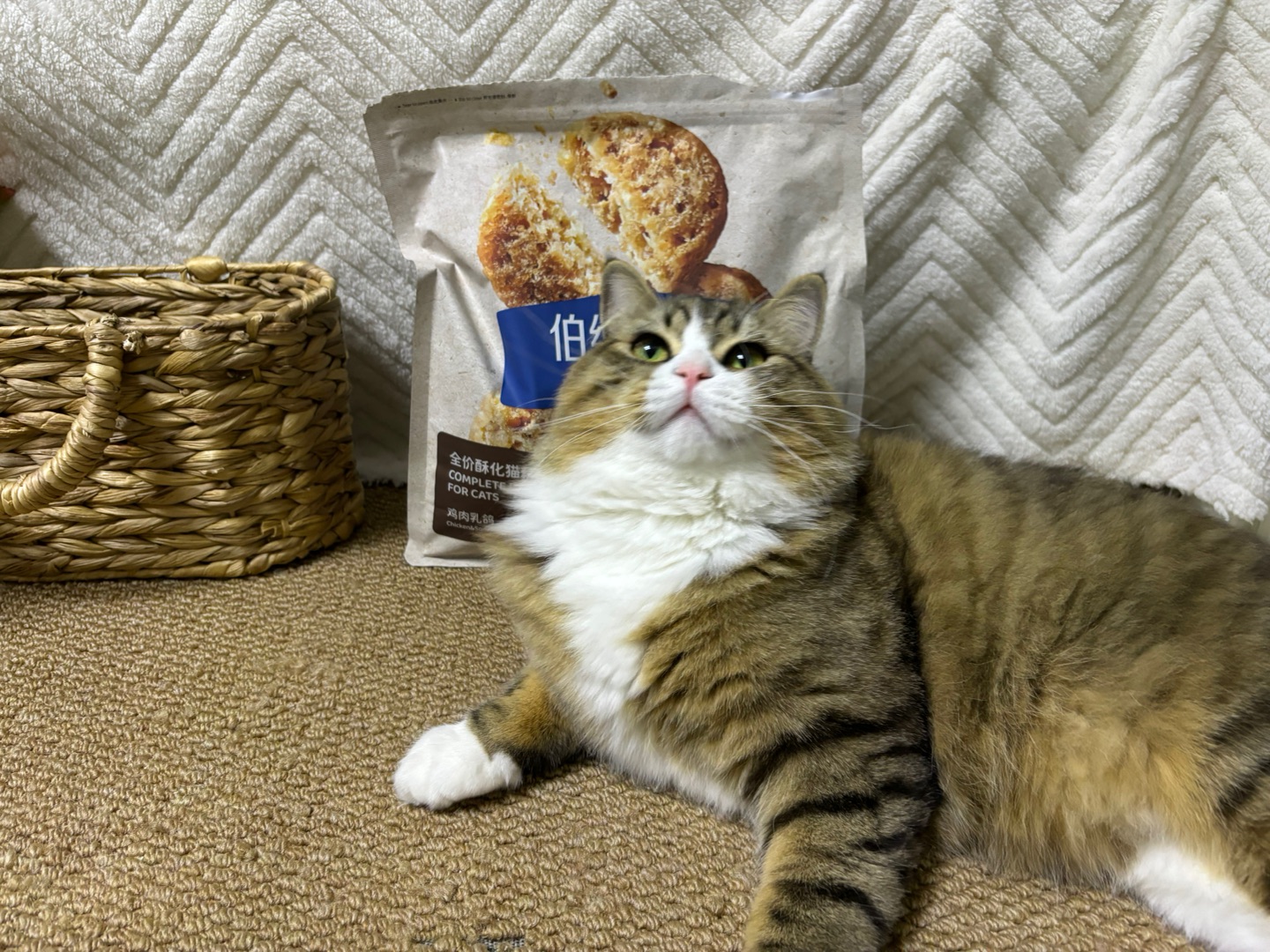 吃的大脸盘子越来越圆了，嘻嘻૮(˶ᵔᵕᵔ˶)ა，吃的好身体壮