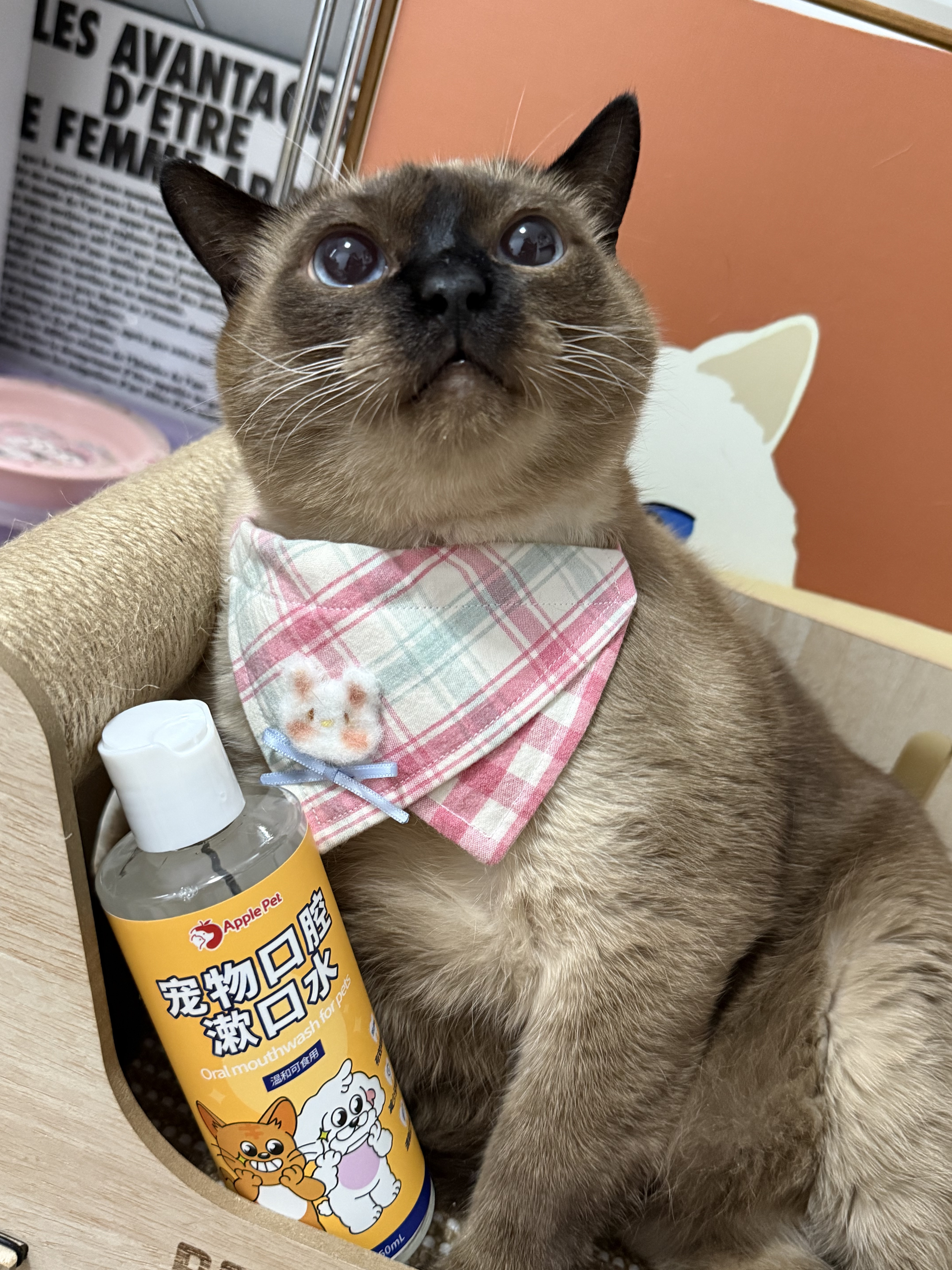 猫咪口臭退散！爱果萌兽漱口水来帮忙！