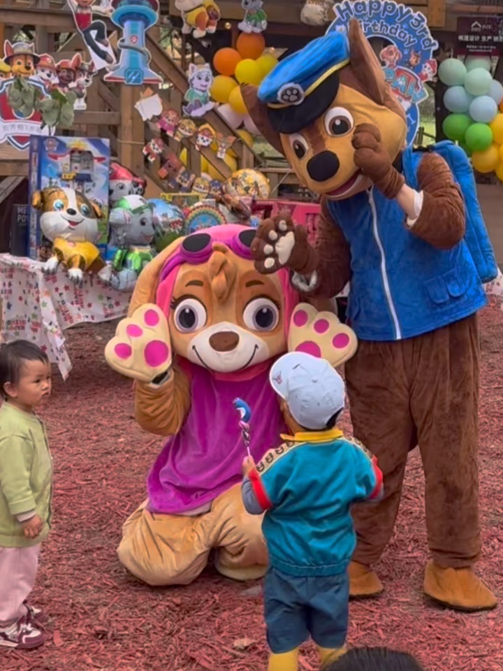 帐篷家·树屋营地，把生日搬进森林里🌿