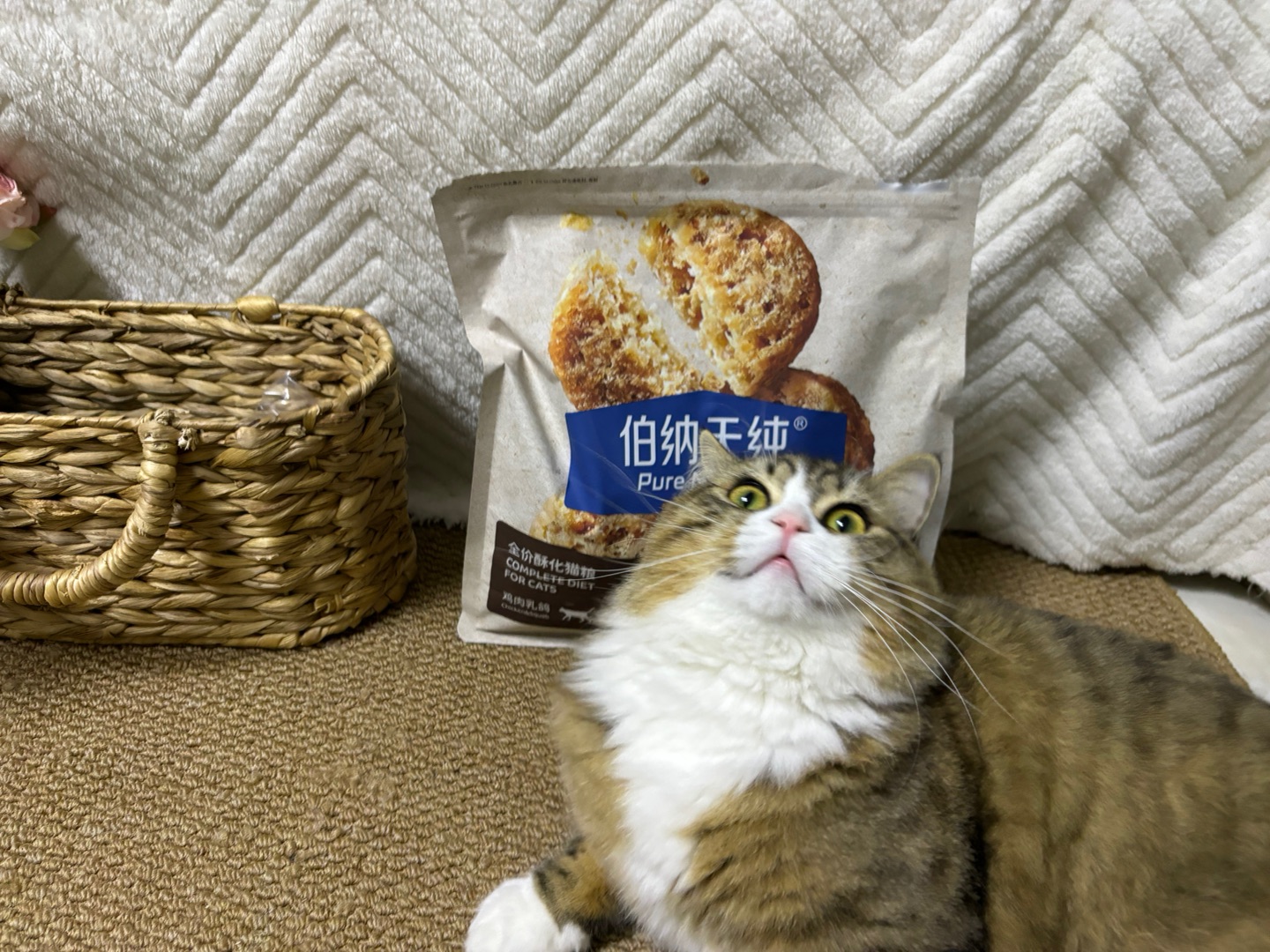 *\(๑• ₃ •๑)Hi~ o(*￣▽￣*)ブ( ´ ▽ ` )ノ(*´▽｀)ノノ